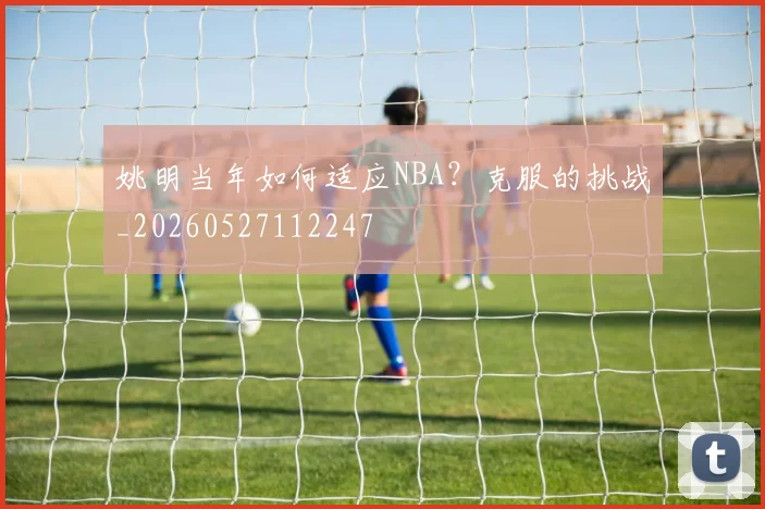 姚明当年如何适应NBA？克服的挑战_20260527112247