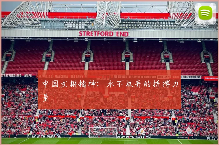 中国女排精神:永不放弃的拼搏力量
