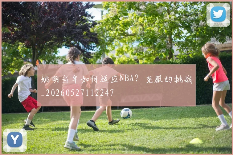 姚明当年如何适应NBA？克服的挑战_20260527112247